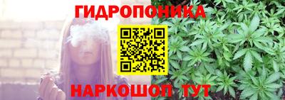прущие крисы Будённовск