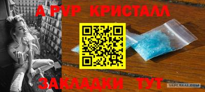 прущие крисы Будённовск