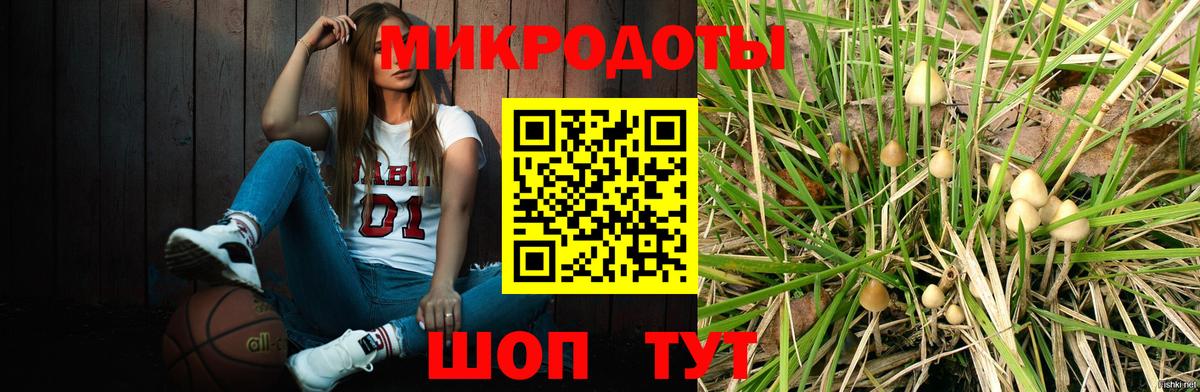 Псилоцибиновые грибы прущие грибы Ишимбай
